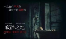 寂静之地电影在线观看,无声求生，惊悚降临