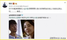 杨爸爆料视频完整版下载,揭秘事件真相与幕后黑幕